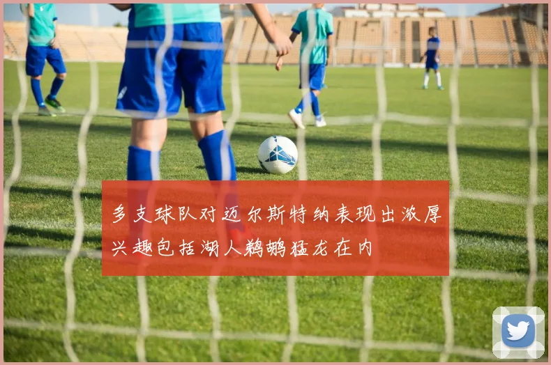 多支球队对迈尔斯特纳表现出浓厚兴趣包括湖人鹈鹕猛龙在内